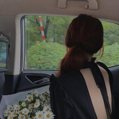 百变机兽之元气星魂